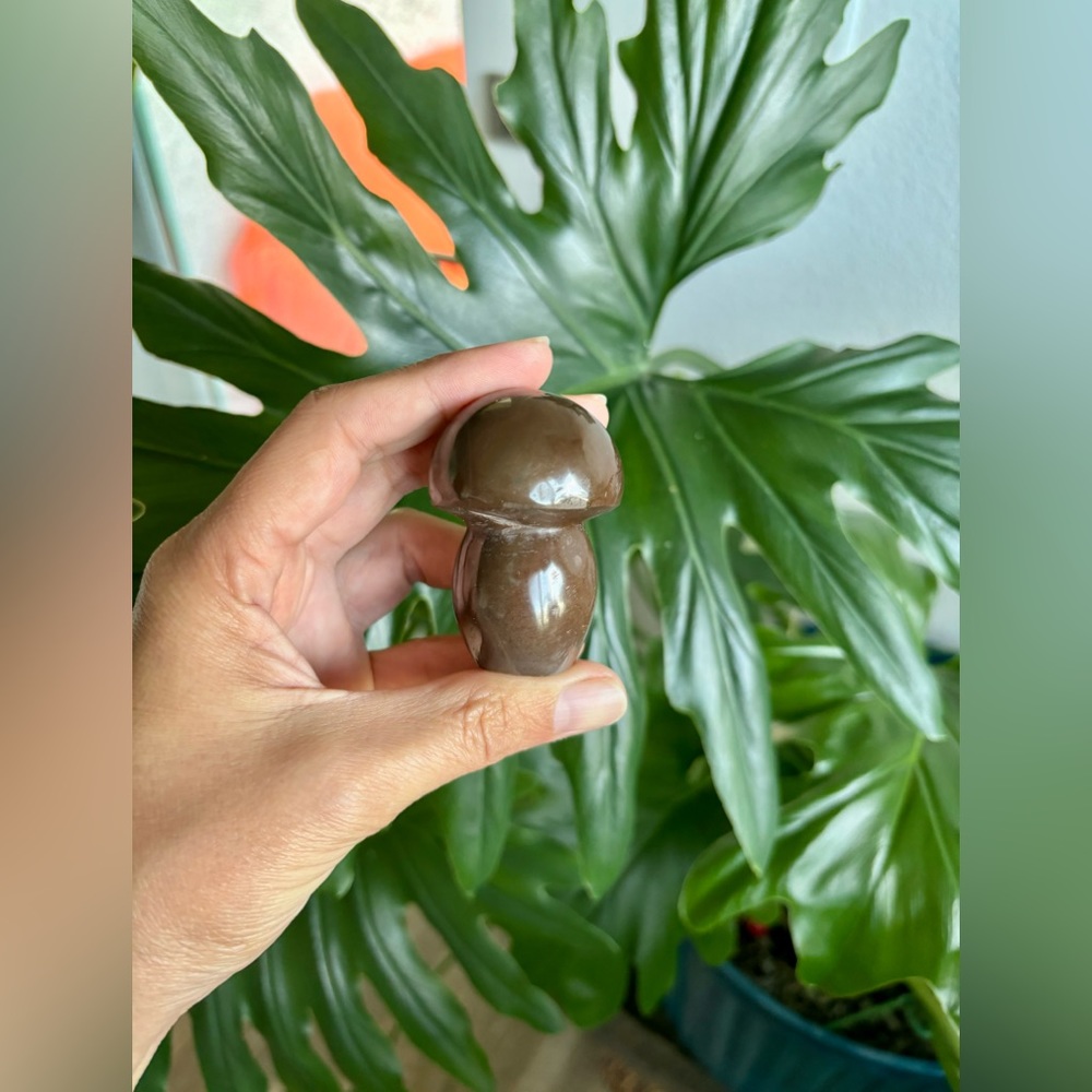 Polychrome Jasper Mushroom - Picture 3 of 5